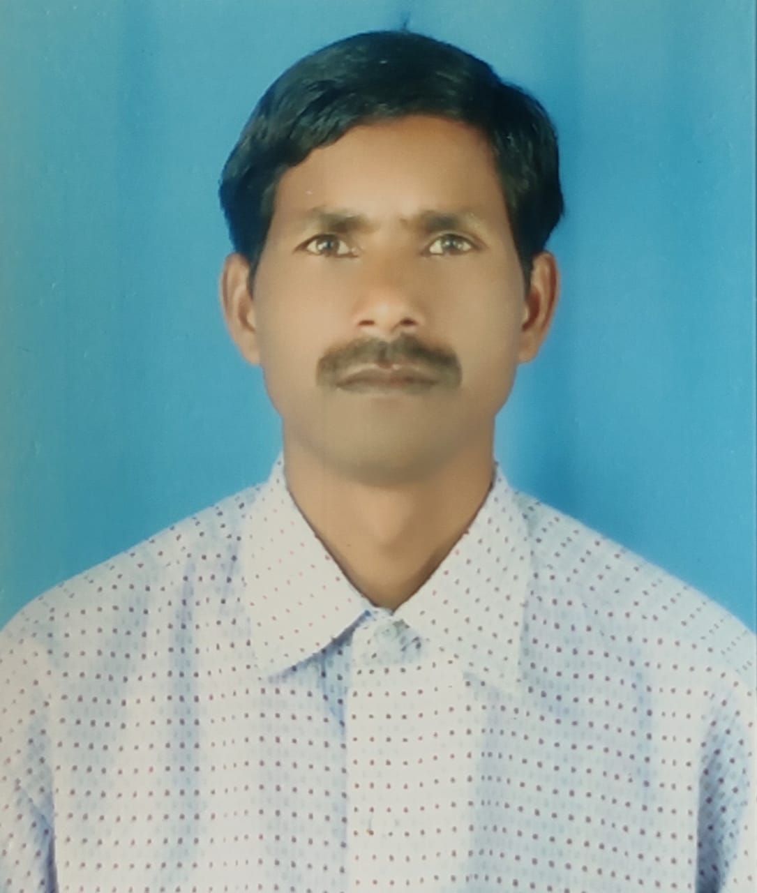 blockchain community india